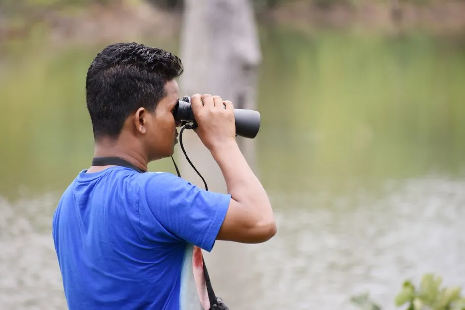 Birding by Ear: A Beginner's Step-by-Step Method